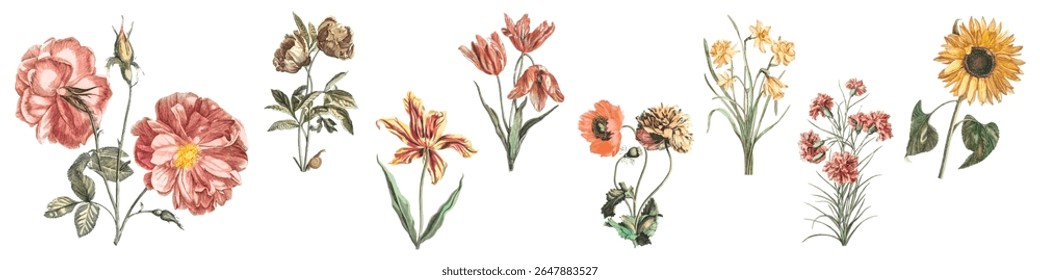 Vintage botanical illustration featuring various flowers like sunflowers, lilies, and daisies. Detailed floral art with delicate petals and leaves. Floral illustrations, isolated vector set.