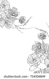 Vintage botanical illustration flower. Flower concept. Botanica concept. Vector design.