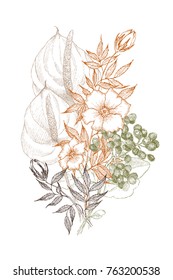 Vintage botanical illustration flower. Flower concept. Botanica concept. Vector design.