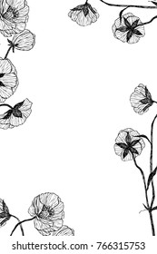 Vintage botanical illustration flower frame. Flower concept. Botanica concept. Vector design.