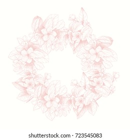 Vintage botanical illustration garden flowers wreath. Engraving style. Hand drawing illustration. Light pink tone