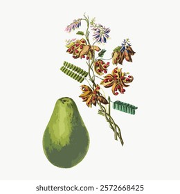 Vintage botanical illustration with a green pear and vibrant flowers. Pear and flowers in a classic style. Pear and flowers create a vintage look. Vintage botanical drawing art.