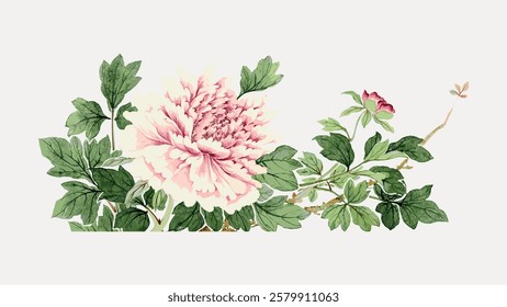 Vintage botanical illustration of a pink peony with lush green leaves. Detailed floral art showcasing a peony in bloom, emphasizing its delicate petals. Vintage flower illustration isolated, vector.