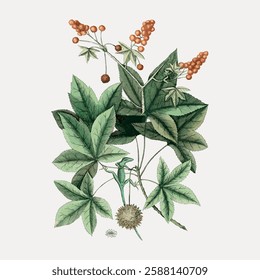 Vintage botanical illustration of a plant with green leaves and orange berries. Detailed leaves and berries create a classic botanical look. Plant and leaves art. Vintage animal illustration vector.