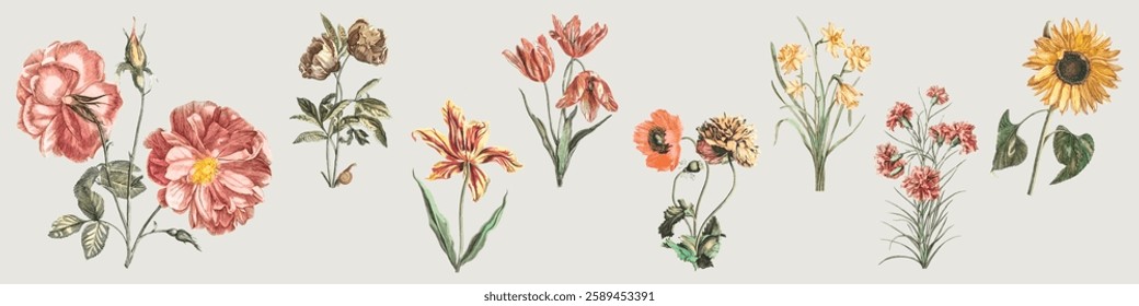 Vintage botanical illustration of various flowers, showcasing diverse floral designs. Includes sunflowers, lilies, and daisies in a classic, artistic style. Floral illustrations, isolated vector set.