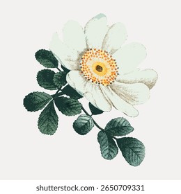 Vintage botanical illustration of a white flower with green leaves. Detailed flower design, delicate petals and intricate leaf patterns. Elegant floral art. Vintage flower illustration vector.