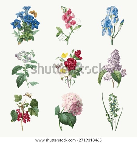 Vintage botanical illustrations of flowers. Features roses, lilacs, and more. Delicate, colorful, and detailed floral designs. Vintage various botanical flowers collection vector.