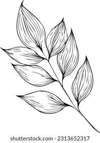 vintage botanical illustrations, scientific botanical illustration, pencil botanical drawings, botanical leaf vector, 
