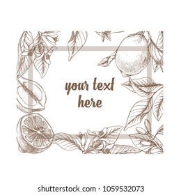Vintage botanical lemon rectangle frame background. Hand drawn outline vector floral border.