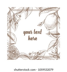 Vintage botanical lemon square frame background. Hand drawn outline vector floral border.