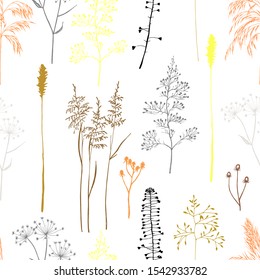 Vintage botanical  seamless pattern with realistyc meadow flowers and plants, wildflowers. 