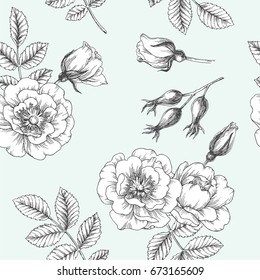 Vintage botanical seamless pattern. Vector hand drawn illustration of hip rose. Floral texture. Background with wild briar flowers, berries and branches with leaves. Sketch style