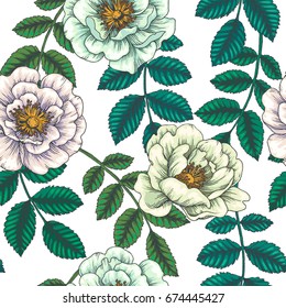 Vintage botanical seamless pattern. Vector hand drawn illustration of hip rose. Color floral texture. Background with wild flowers and branches with leaves. Sketch style