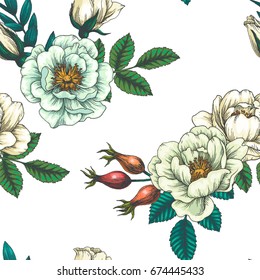 Vintage botanical seamless pattern. Vector color hand drawn illustration of hip rose. Floral texture. Background with wild briar flowers, berries and branches with leaves. Sketch style