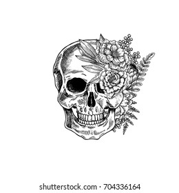 Vintage botanical skull illustration. Human skeleton. Vector illustration