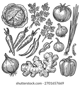 Vintage Botanical Vegetable Engraving Set
