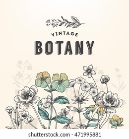Vintage botany illustration