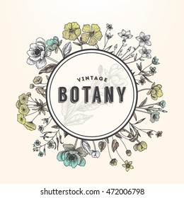 Vintage botany illustration