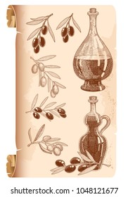 Vintage bottles of olive oil and an olive branches, ink sketch elements. Old paper vector illustration for menu and label design.