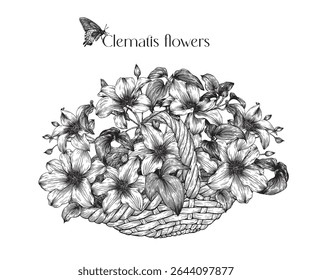 Vintage bouquet of Clematis flowers in a basket and butterfly, black and white. Floral Vector illustration for design wedding, greeting card, postcard, poster. Hand drawn, Detaled engraving sketch