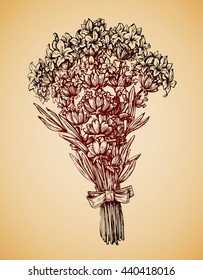 Vintage bouquet of flowers. Hand-drawn retro sketch lavender flower. Vector illustration