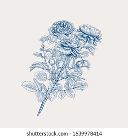 Vintage bouquet of roses. Floral vector illustration. Classic blue and white.