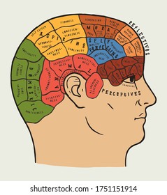 Vintage brain map, mind scheme. Side view human head divided in areas of mind. Mental health vector illustration