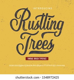 Vintage Brush Font. Retro Typeface. Vector Illustration.
