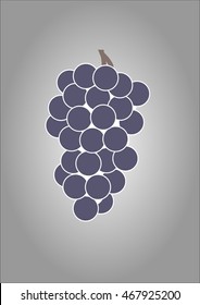 Vintage bunch of grapes vector.