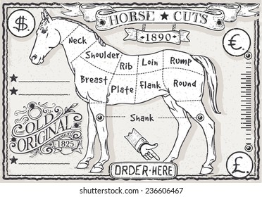 Vintage Butcher Blackboard Cut of Horse Meat. Butchery Horse Food Chalk Board Shop. Retro Menu Restaurant. Butchery Blackboard Diagram. Street Food Vintage Bar Menu Background Infographic Vector Image