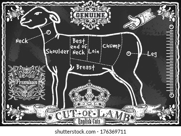 Vintage Butcher Blackboard Cut of Lamb Meat. Butchery Sheep Food Chalk Board Shop. Retro Menu Restaurant. Butchery Blackboard Diagram. Street Food Vintage Bar Menu Background Infographic Vector Image