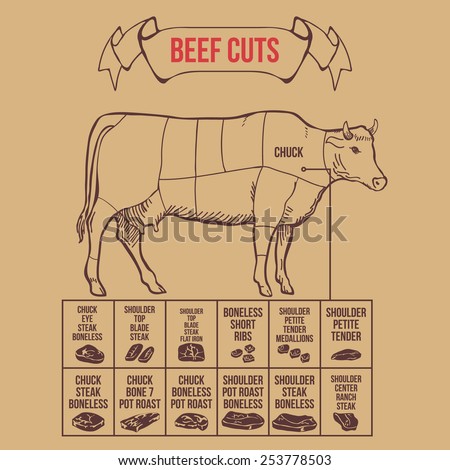 Vintage butcher cuts of beef scheme vector illustration