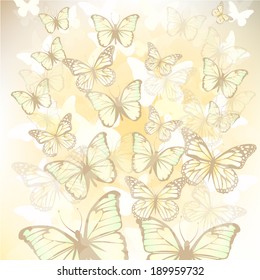 vintage butterflies background. Vector 