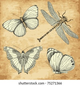 Vintage Butterfly collection