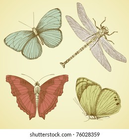 Vintage Butterfly Collection