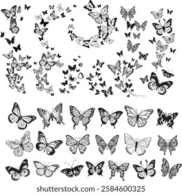 Vintage Butterfly Collection  vector illustration