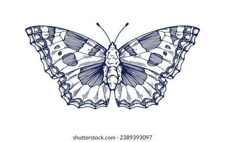 Vintage butterfly drawing. Detailed engraved moth, Aglais urticae sketch in old retro style. Hand-drawn insect. Handdrawn small tortoiseshell. Vector graphic illustration isolated on white background