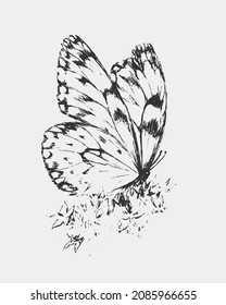 Fondo vintage de patrones de mariposa, vector de diseño blanco y negro