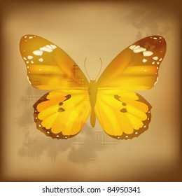 Vintage Butterfly, Vector Illustration