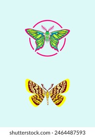 Vintage butterflys Vector art with white background