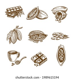 vintage cacao set vector art 
