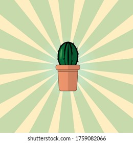 vintage cactus with green color and brown pot