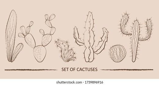 Vintage cactuses set, great design for any purposes. Cactus set illustration. Doodle illustration.