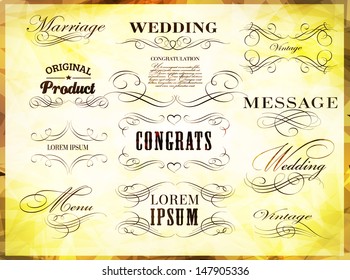 Vintage calligraphic design elements, page decoration and labels