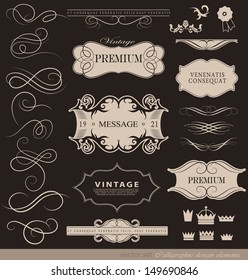 vintage calligraphic design elements, page decoration and labels / retro vector