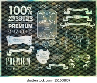 vintage calligraphic design elements and page decoration/ vector set
