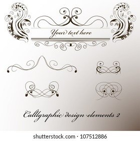 Vintage calligraphic design elements. Vector illustration EPS8