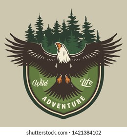 Vintage camping colorful print with eagle and forest isolated vector illustration