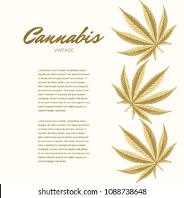 Vintage Cannabis leaves. Vector Composition - Copy Space