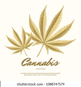 Vintage Cannabis leaves. Vector Composition - Copy Space